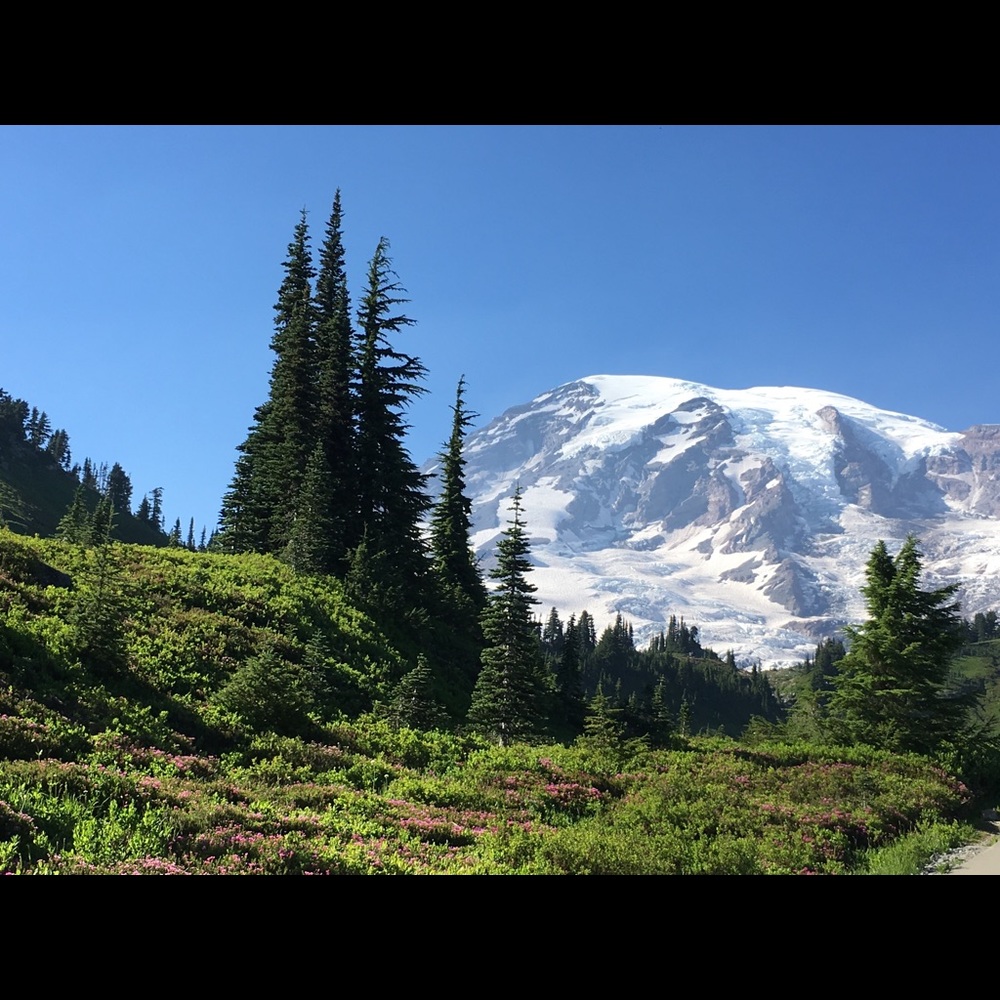 Meet your Posher, Linda